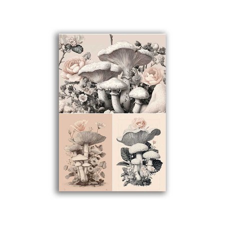 GF-COCINA-026. Papel de arroz de gran tamaño