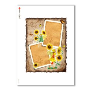 ALBUM-L-0076. Papel de Arroz album para decoupage.