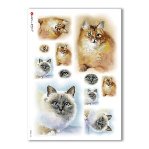 ANIMALS-0038. Papel de Arroz animales para decoupage.