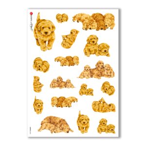 ANIMALS-0042. Papel de Arroz animales para decoupage.
