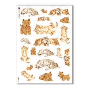ANIMALS-0043. Papel de Arroz animales para decoupage.