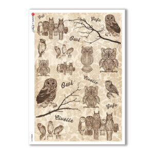 ANIMALS-0061. Papel de Arroz animales para decoupage.