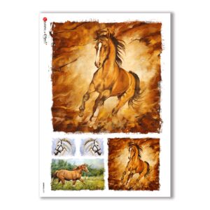 ANIMALS-0070. Papel de Arroz animales para decoupage.