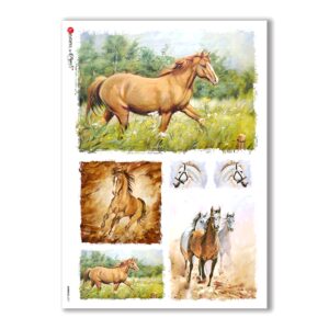 ANIMALS-0071. Papel de Arroz animales para decoupage.