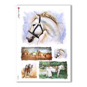ANIMALS-0072. Papel de Arroz animales para decoupage.