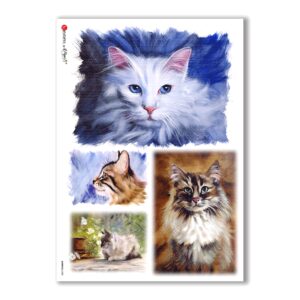 ANIMALS-0080. Papel de Arroz animales para decoupage.