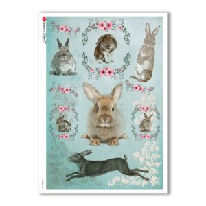 ANIMALS-0096. Papel de Arroz animales para decoupage.