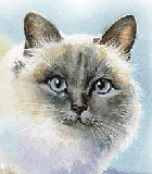 Animales