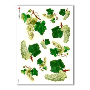 FOOD-0003. Papel de Arroz comida para decoupage.