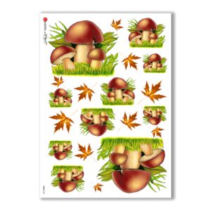 FOOD-0006. Papel de Arroz comida para decoupage.