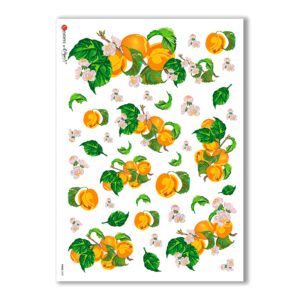 FOOD-0009. Papel de Arroz comida para decoupage.