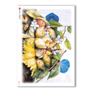 FOOD-0016. Papel de Arroz comida para decoupage.