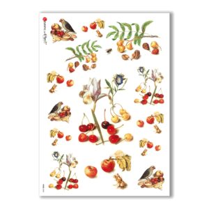 FOOD-0028. Papel de Arroz comida para decoupage.