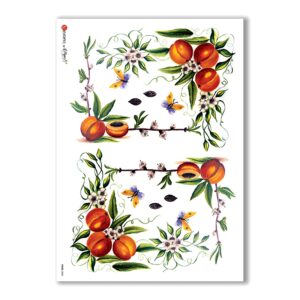 FOOD-0040. Papel de Arroz comida para decoupage.
