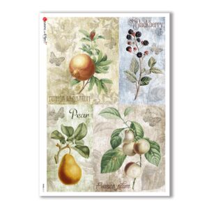 FOOD-0112. Papel de Arroz comida para decoupage.