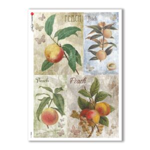 FOOD-0114. Papel de Arroz comida para decoupage.