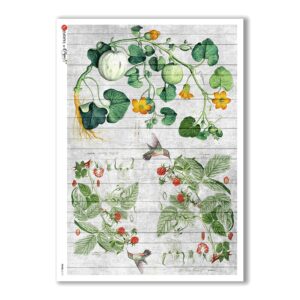 FOOD-0117. Papel de Arroz comida para decoupage.