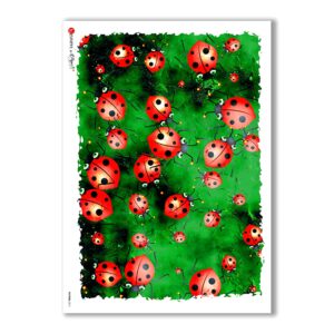 PATTERN-0011. Papel de Arroz texture para decoupage.