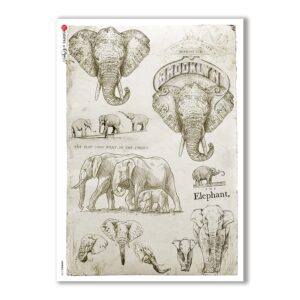 ANIMALS-0108. Papel de Arroz animales para decoupage.