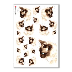 ANIMALS-0109. Papel de Arroz animales para decoupage.