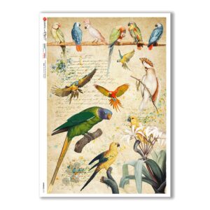 ANIMALS-0131. Papel de Arroz animales para decoupage.