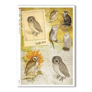 ANIMALS-0133. Papel de Arroz animales para decoupage.
