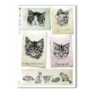 ANIMALS-0136. Papel de Arroz animales para decoupage.