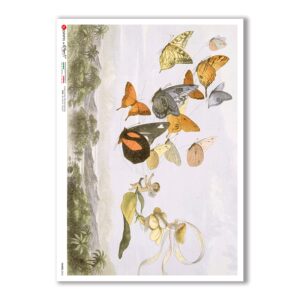 FAIRIES-0063. Papel de Arroz hadas para decoupage.