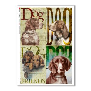 ANIMALS-0141. Papel de Arroz animales para decoupage.