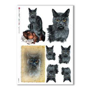 ANIMALS-0155. Papel de Arroz animales para decoupage.