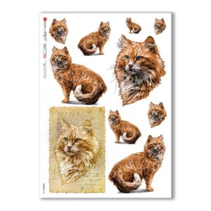 ANIMALS-0156. Papel de Arroz animales para decoupage.