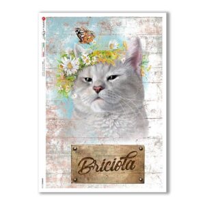 ANIMALS-0163. Papel de Arroz animales para decoupage.