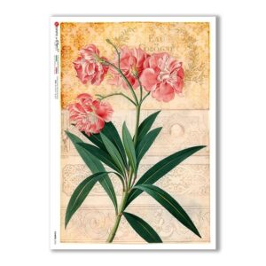 FLOWERS-0355. Papel de Arroz flores para decoupage.
