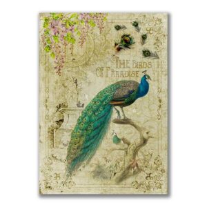 GF-ANIMALES-009. Papel de arroz de gran tamaño