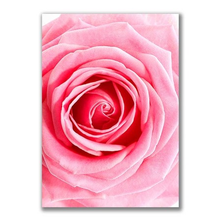 GF-FLORES-001. Papel de arroz de gran tamaño