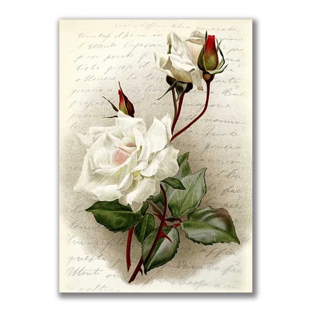 GF-FLORES-019. Papel de arroz de gran tamaño