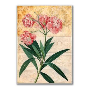 GF-FLORES-032. Papel de arroz de gran tamaño
