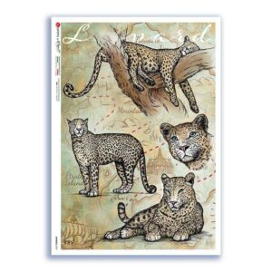 ANIMALS-0167. Papel de Arroz animales para decoupage.