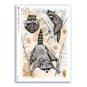 ANIMALS-0169. Papel de Arroz animales para decoupage.