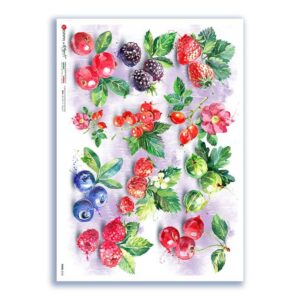 FOOD-0150. Papel de Arroz comida para decoupage.