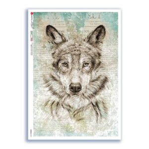 ANIMALS-0190. Papel de Arroz animales para decoupage.