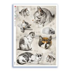 ANIMALS-0195. Papel de Arroz animales para decoupage.