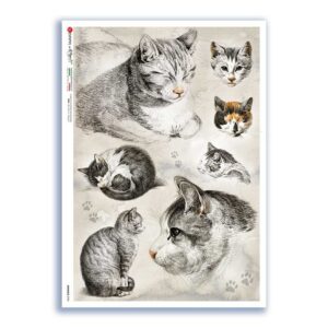 ANIMALS-0196. Papel de Arroz animales para decoupage.