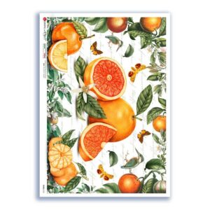 FOOD-0152. Papel de Arroz comida para decoupage.