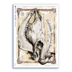SKULL-0026. Papel de Arroz cráneos para decoupage.