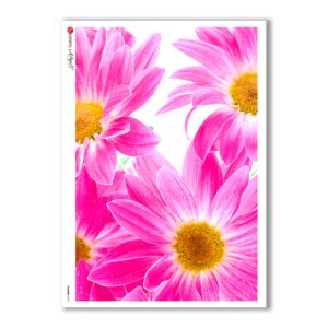 FLOWERS-0019. Papel de Arroz flores para decoupage.