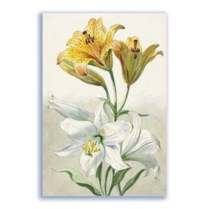 GF-FLORES-043. Papel de arroz de gran tamaño