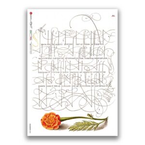 CALLIGRAPHY-0002. Papel de Arroz caligrafía para decoupage