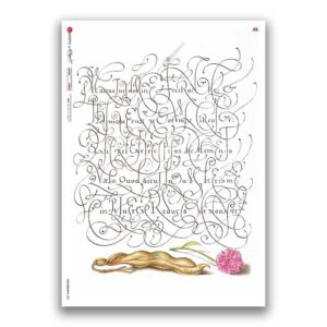 Calligraphy