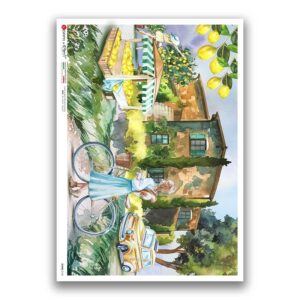 SCENE-0142. Papel de Arroz pictórico para decoupage.